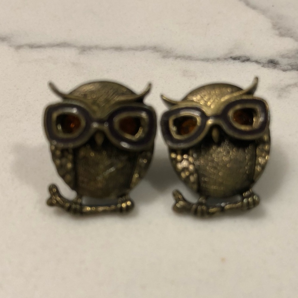 Owl Post Earrings with Cool Shades Amber Color Eyes